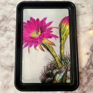 Vintage Hedgehog Cactus Fine Art Print Acrylic Tray - Artwork by William Curtis